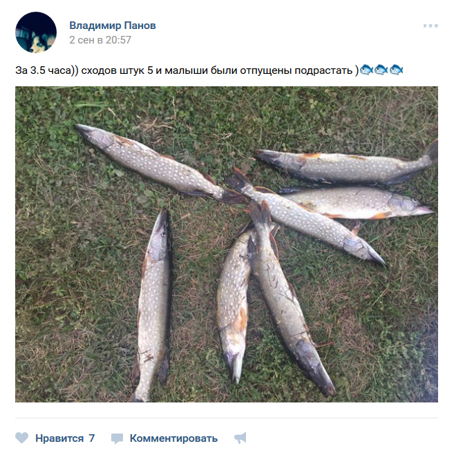 Отзыв о рыбалке на базе Баскак